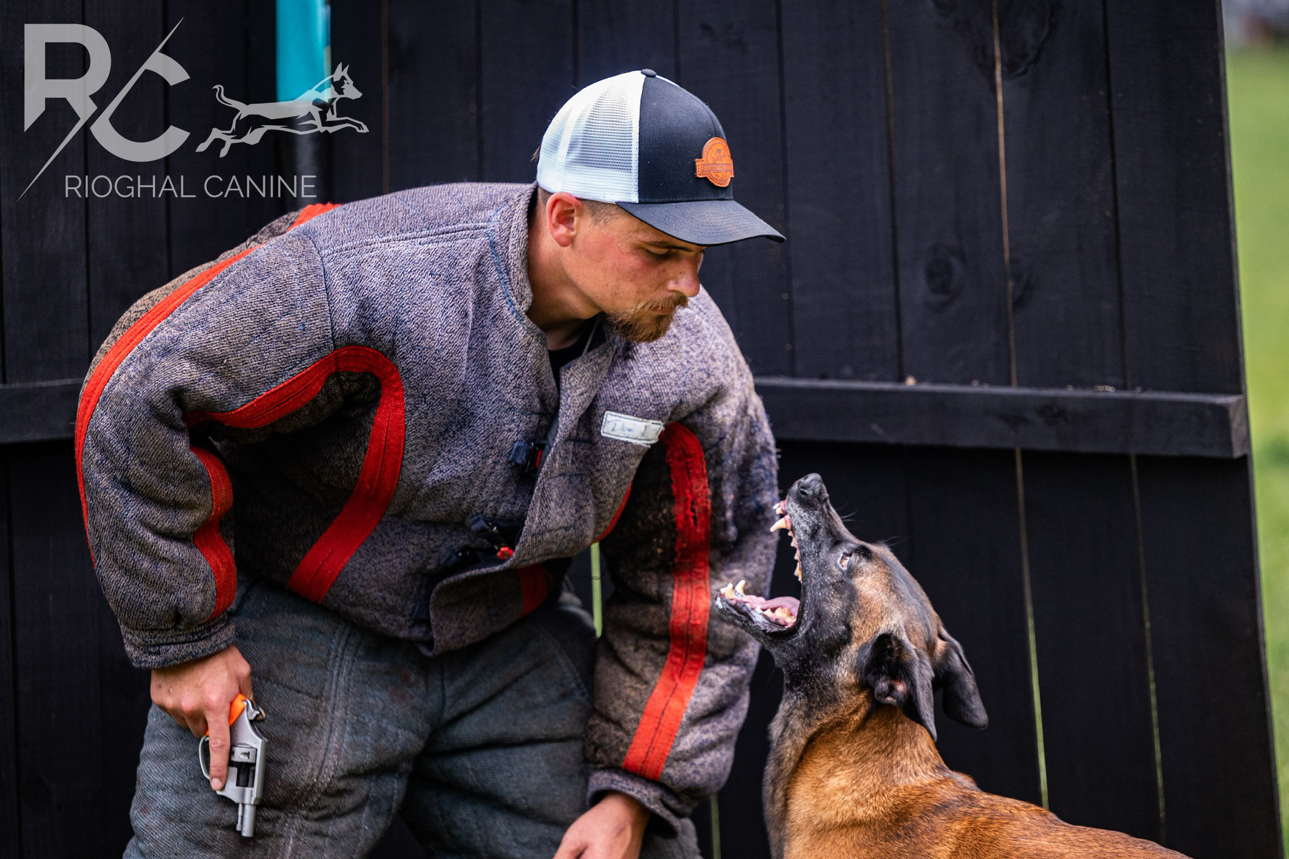 Nashville Personal protection dog training